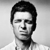 Noel-Gallagher-Mattia-Zoppellaro-Resized1.jpg