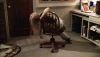 200w.gif