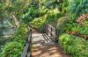 self-realization-fellowship.jpg