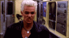 IMG_4978.GIF