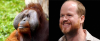 1527674102290.png