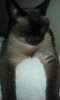 20180706_162256.jpg