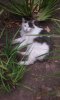 20180707_092046.jpg