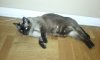 20180710_124653.jpg