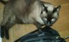 IMG_20180712_143448.jpg