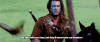 200w.gif