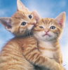 chats (2).png