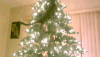 200w.gif