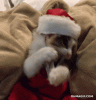 giphy (8).gif giphy (8).gif