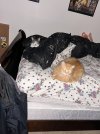 IMG_2451.jpeg