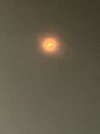 IMG_2827.jpeg