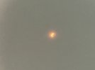 IMG_2828.jpeg