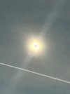IMG_2834.jpeg