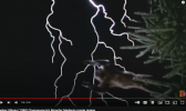 1723854989896.png