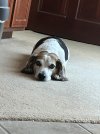 IMG_3644.jpeg