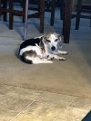 IMG_5094.jpeg