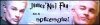 banner.jpg