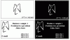 storecardspreview.gif