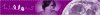 willow.banner.1.jpg