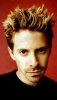sethgreen.jpg
