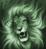 lion.jpg