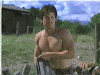 crossfire04.gif