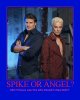 motivator9144524 spike and angel.jpg