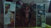 Dracbook4.jpg