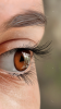 upload_2015-6-10_7-21-13.png