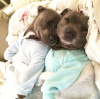 upload_2015-8-11_19-34-21.png