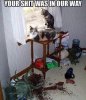 FB_IMG_1454969565951.jpg