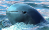 18d167686c9248308dd7c713b5aec7e2_b.png