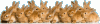 lots-of-bunnies.gif