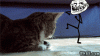 giphy-1.gif