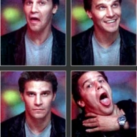 Photo_david_boreanaz