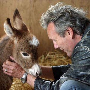 e51a68936b4d0b861ebac75657537a17--anthony-head-boy-pictures.jpg