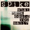 spike-slogan2.png