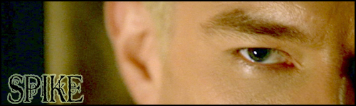 spike_by_tragiclydying-d37bj2n.jpg
