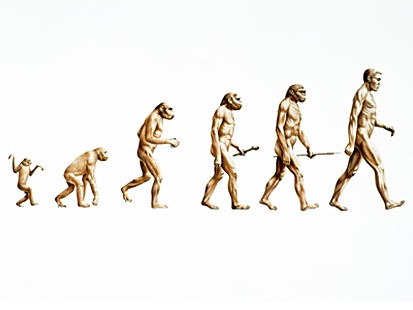nc-evolution-080103-ms.jpg