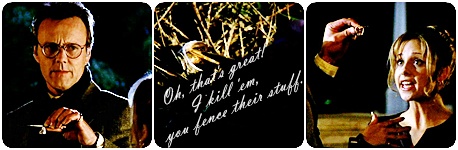 Vamp_Stuff_Banner_by_16buffy.jpg
