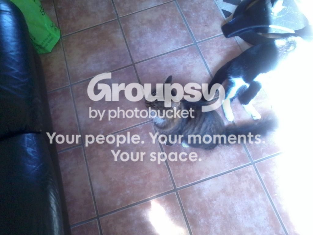 2012-09-03101533.jpg