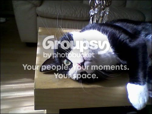 7329600476a9508374196l.jpg
