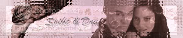SpikeandDruBanner.jpg