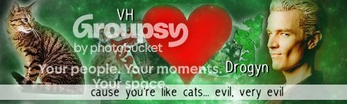 Cats.jpg