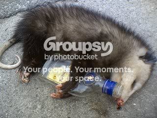 DeadPossum.jpg