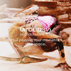 buffy-cat7_1.png