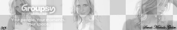 smgbanner.jpg