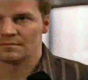 tumblr_lzgi6kJkqj1r1c833o2_250.gif