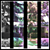 image512.png