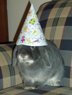 birthday%2Bbunny.jpg